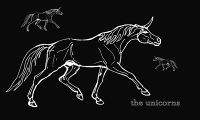  isolated vector drawn unicorns on a black background 