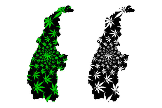 Sagaing Region (Administrative divisions, Republic of the Union of Myanmar, Burma) map is designed cannabis leaf green and black, Sagaing Division map made of marijuana (marihuana,THC) foliage,....