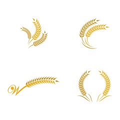 Wheat vector icon illustration