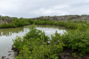 Las Grietas Galapagos