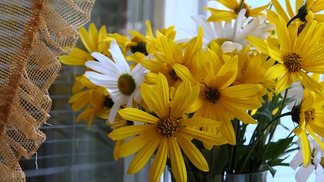 A Bouquet Of White And Yellow Chamomile Or Daisies Flowers Is In A Vase By The Window Slider Shot.