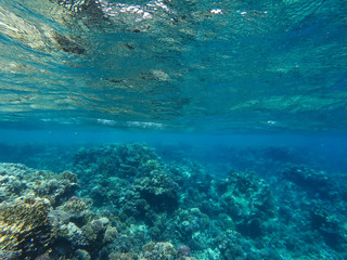 Underwater background of ocean and free space for your decoration. 