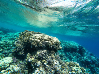 Underwater background of ocean and free space for your decoration. 