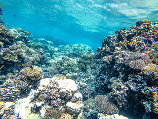 Underwater background of ocean and free space for your decoration. 