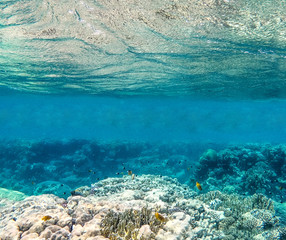 Underwater background of ocean and free space for your decoration. 