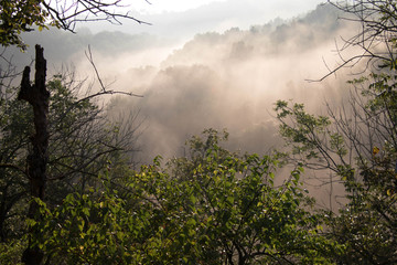 Obraz na płótnie Canvas foggy morning in the hills
