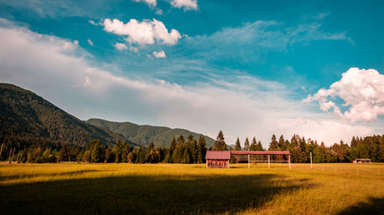 Obraz premium Summer has arrived in the italian alps