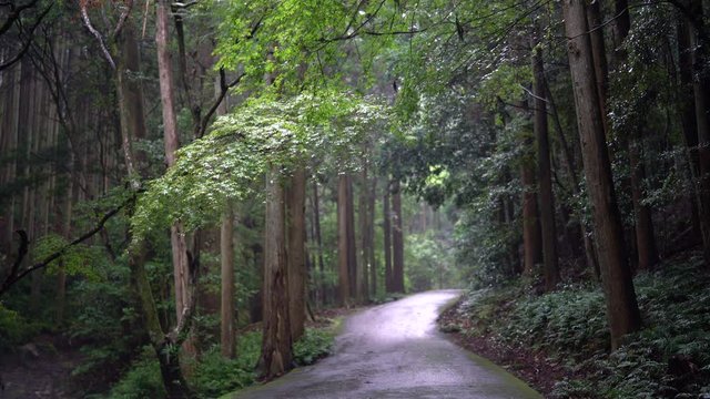 The shrines in Japan