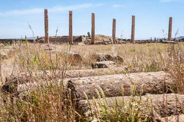 Timgad, Algeria - 05/07/2015: Ruins of ancient Roman city of Timgad/Thamugadi.
