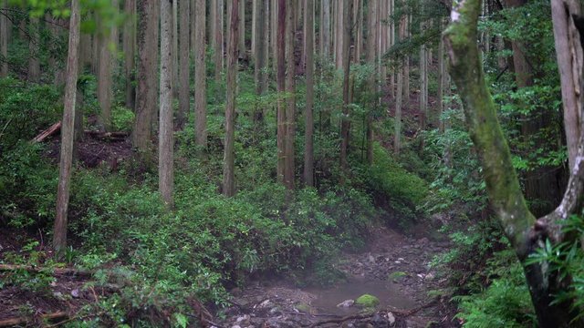 The shrines in Japan