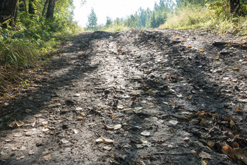 Tire tracks on a muddy road in the countryside