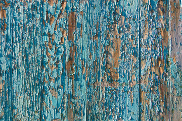 The texture of the blue background of a wooden fence closeup