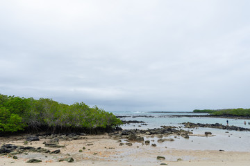 Las Grietas Galapagos