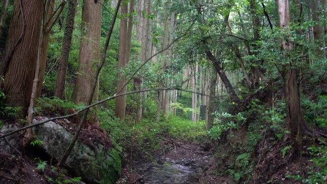 The shrines in Japan