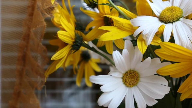 A Bouquet Of White And Yellow Chamomile Or Daisies Flowers Is In A Vase By The Window Slider Shot.