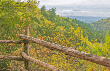 Scenic overlook foliage with cloudy sky