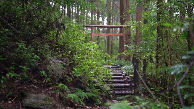 The shrines in Japan