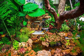  Relaxing corner in a coffee shop decorated in a tropical style.