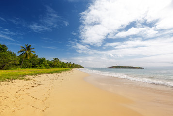 Wild Caribbean beach, Martinique island, French Indies - Grande Anse des Salines