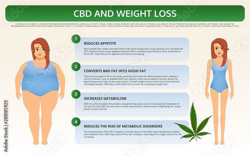 Cbd And Weight Loss Horizontal Textbook Infographic Cbd And Weight Loss Horizontal Textbook Infographic