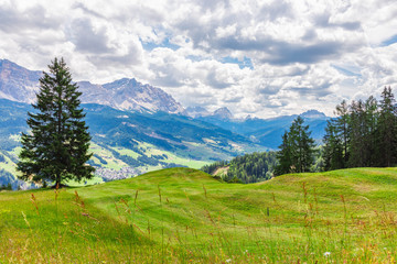 Fototapeta na wymiar A beautiful view of a freshly cut alpine meadow. The peaks of the Italian Dolomites are visible in the background. Italian Alps, Corvara in Badia. Summer time