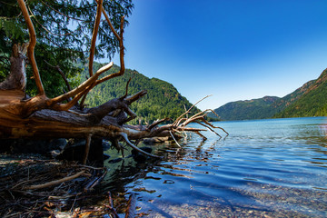 Fototapeta na wymiar Great lookout into the mountains near Lake Cameron, Vancouver Island, BC