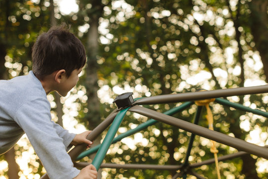 Kid climbing dome playground