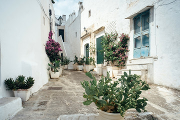 Fototapeta na wymiar Ostuni, Puglia Italy - Friday 23 August 2019: view of an alley in the old city