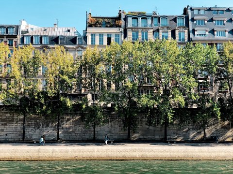Banks of Seine in autumn