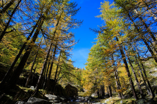 torrente in valle dell'Orco, nel parco nazionale del Gran Paradiso