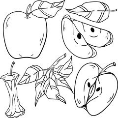 Vector contour illustration with apple, leaf  on white background. Good for printing. Coloring book illustration. Doodle style. Cute design.