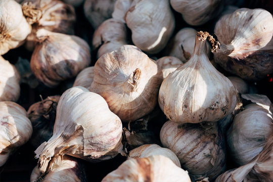 Detail of bulbes of garlic