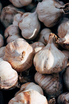 Detail of bulbes of garlic