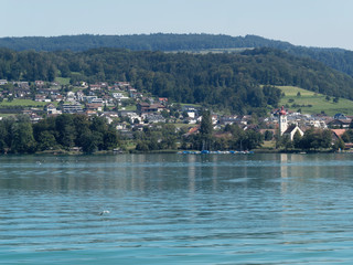 Schweizer Seenlandschaft - Kanton Aargau - Hallwilersee - Ausblick nach Aesch von Beinwil am see und Mosen