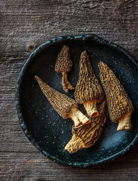 morel mushrooms