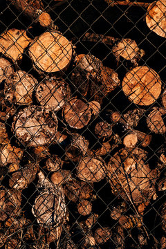 Firewood