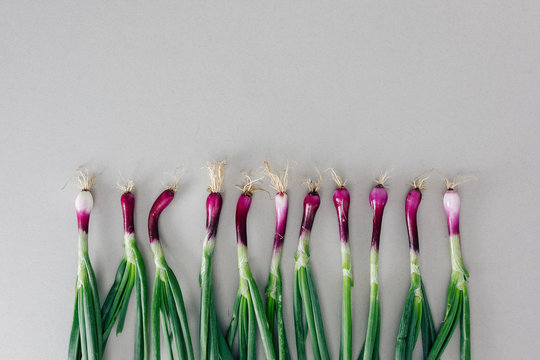 Purple scallions