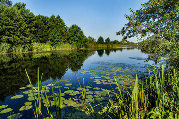 Fototapeta na wymiar rzeka i drzewa, piękny krajobraz, Polska