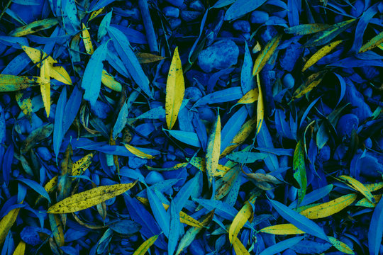 Abstract atumn leaves
