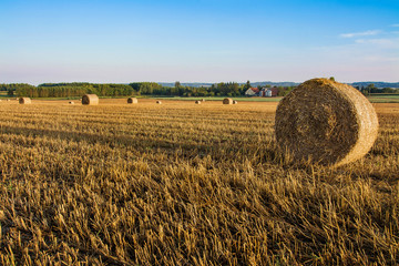 siano na polu, piękny krajobraz, rolnictwo © VinyLove Foto