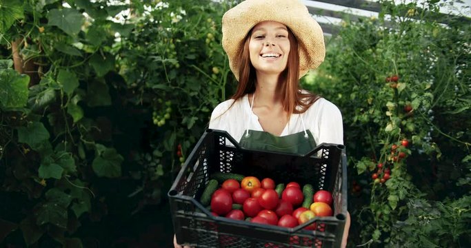 Pretty smiling woman in straw hat and working robe olding with tomatoes and cucumbers in greenhouse, seasoman products, farming