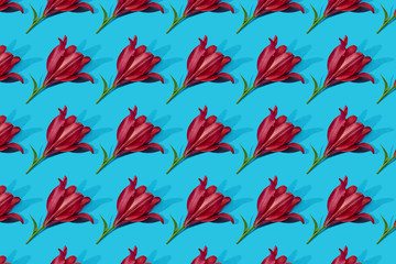 Red lilies on blue background trend flat lay concept with fashionable toning. Many flowers pattern