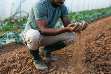 Ecological agriculture.