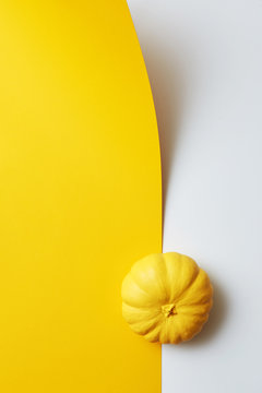 Creative painted yellow pumpkin - holiday card on a duotone paper background. Halloween Party concept.
