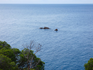 Paisaje de la Costa Brava catalana, España, con el mar azul, islas, aguas cristalinas, árboles y acantilados