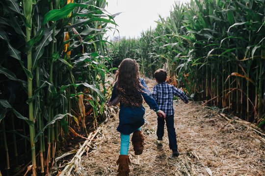 kids explore a corn maze on a fall day