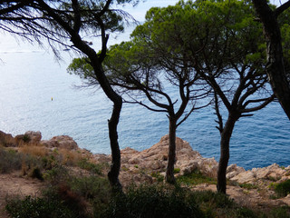 Paisaje de la Costa Brava catalana, España, con el mar azul, islas, aguas cristalinas, árboles y acantilados
