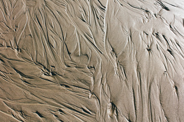 Detail of beach sand and eroded channels at low tide
