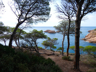 Obraz premium Paisaje de la Costa Brava catalana, España, con el mar azul, islas, aguas cristalinas, árboles y acantilados