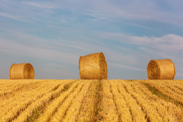 Hay bales in a Sussex field in late summer